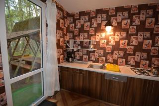 Domyletnie Pobierowo 100m2 z altaną - 4