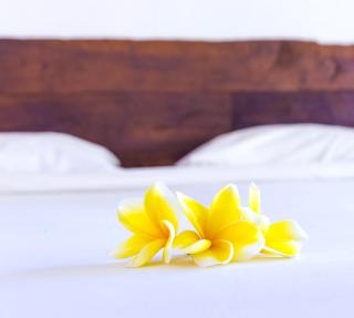 Big Brother Surf Inn - Canggu - 5