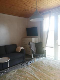 Schönes Appartement in Zierzow mit Grill, Terrasse und Garten - Sietow - 4