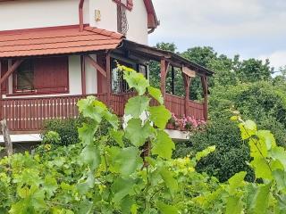 Szőlőcskei Vendégház és Pihenő - Eger - 2