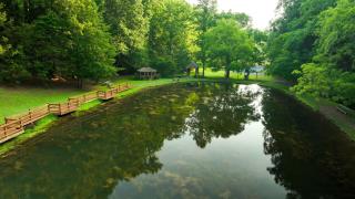 Yoli Bear Hideaway - Sevierville - 1