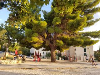 Apartment Kata - Makarska - 1