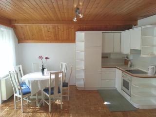 Apartments Ana Kranjska Gora - Kranjska Gora - 2