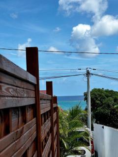 Bungalow L'hibiscus - Sainte-Luce - 6