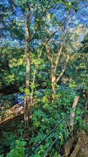 Landscape-Cabaña Summer-Full Equipada - 5