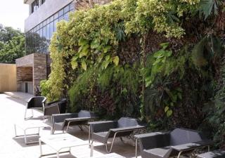Eurobuilding Hotel & Suites Coro - Coro - 9