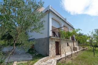 Ferienhaus für 12 Personen ca 510 qm in Krusevo, Dalmatien Norddalmatien - Kruševo - 1