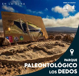 Cabañas Ecologicas Alto Cañizares - Bahia Inglesa - 7