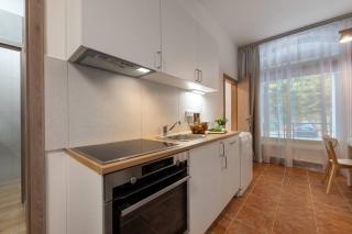 New flat, Jachymov (Klinovec resort) - Karlovy Vary - 7