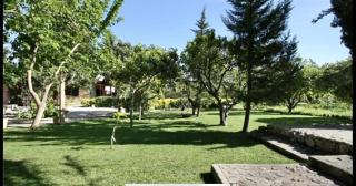 Ferienhaus mit Privatpool für 12 Personen ca 200 qm in Pollença, Mallorca Nordküste von Mallorca - Pollença - 3