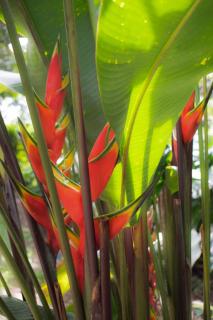 Casa Yami Lodge - 2