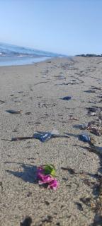 Villa les pieds dans l'eau - Borgo - 3