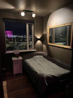 Luxurious apartment in Reykjavík - Reikiavik - 8