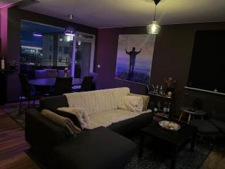 Luxurious apartment in Reykjavík - Reikiavik - 5