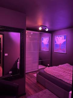Luxurious apartment in Reykjavík - Reikiavik - 3