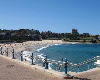 Comfy Coogee 1 Bedroom Hideaway - Sydney - 1