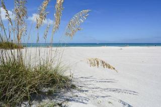 Seaside Retreat Cottages #3 - Clearwater Beach - 5