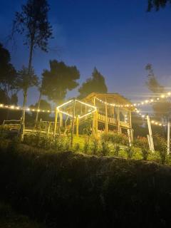 GLAMPING MILAGROS - San Pedro - 4