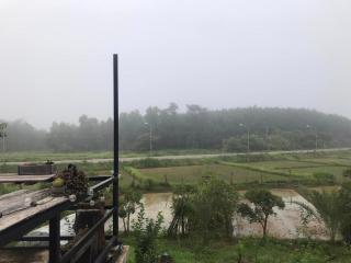 สวนบ้านนอก SuanBaanNoak - Phayao - 6