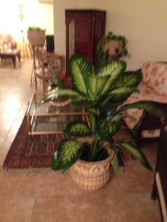 Very homely and welcoming apartment - Cairo - 4