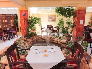 Spa Hotel Alex - Loutra Edipsou - 8