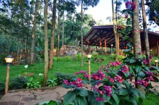 Sereno Chikmagalur - Chikmagalūr - 9
