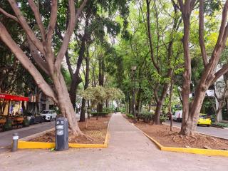 Parque México 8 Personas Vista Verde - Città del Messico - 2