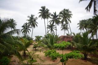 WHITE SAND BEACH STAY- Delta hospitality- - 1