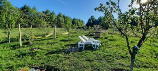 Stefana's Tiny House Nature Retreat - - 6