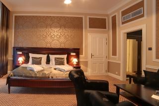 Luxury Spa Hotel Olympic Palace - Karlovy Vary - 1
