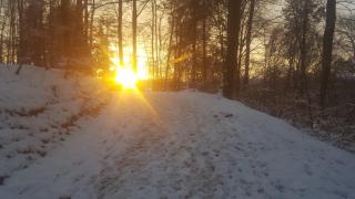 Haus Am Wald - Stockach - 8