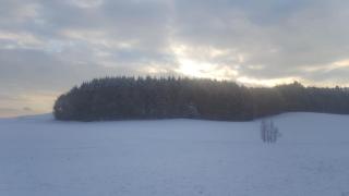 Haus Am Wald - Stockach - 7