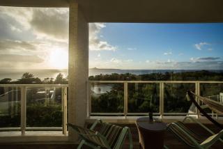 インディゴ205 - 5