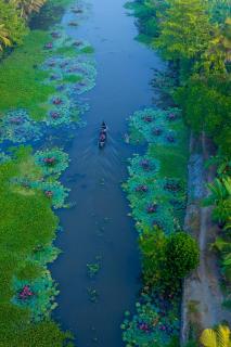 ama Stays & Trails Lily Pad, Kumarakom - 8