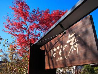 Yufuin Onsen Ryokan Hananomai - Yufu - 9