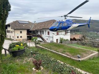 Arzenhof, Baron Di Pauli - Caldaro - 5