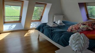 Au coeur des marais - Varaville - 7