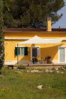 Casina al Castello - Natura e Relax - Castel del Monte - 0
