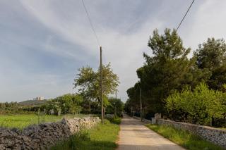 Casina al Castello - Natura e Relax - Castel del Monte - 2