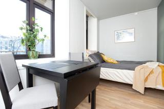 Sentrumsnær studioleilighet! - Trondheim - 5