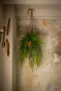 Akasha Spa Retreat Cottage - Welton - 2