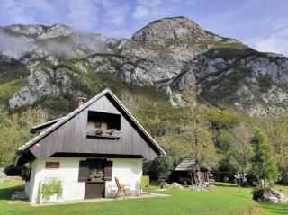 Holiday House Damjana (Hiška Damjana), Ukanc, Bohinjsko jezero - Bohinj - 0
