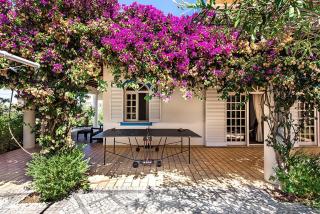 Villa Cabrita, Superb location, large villa, walk to restaurants, supermarkets beach - Guia - 8