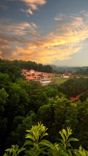 amã Stays & Trails Vivid Foliage Kasargod , Mangalore - 8