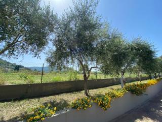 Miro' Agropoli - Agropoli - 4