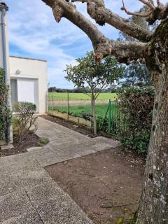 L'hibiscus maison 4 personnes - Dolus - 9