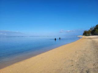 T2 Bord de plage Saline les Bains - La Saline-Les-Bains - 0