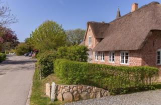 Welkimmen - Nebel - 5