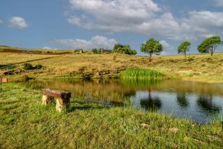 Moonlight Meadows just outside Dullstoom - Dullstroom - 7