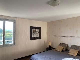 Domaine de la Noiseraie - Suites spacieuses - Belleville-sur-Saône - 8